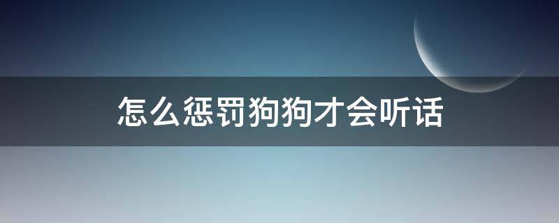 怎么惩罚狗狗才会听话 怎么训狗让它听话