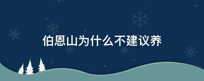 伯恩山为什么不建议养（伯恩山为什么不建议养 圣伯纳犬）