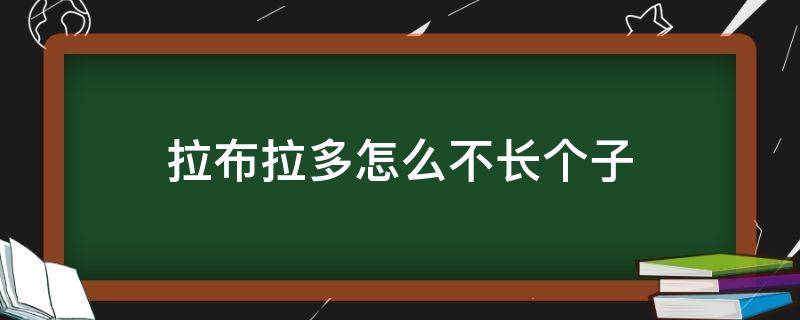 拉布拉多怎么不长个子 拉布拉多不长高