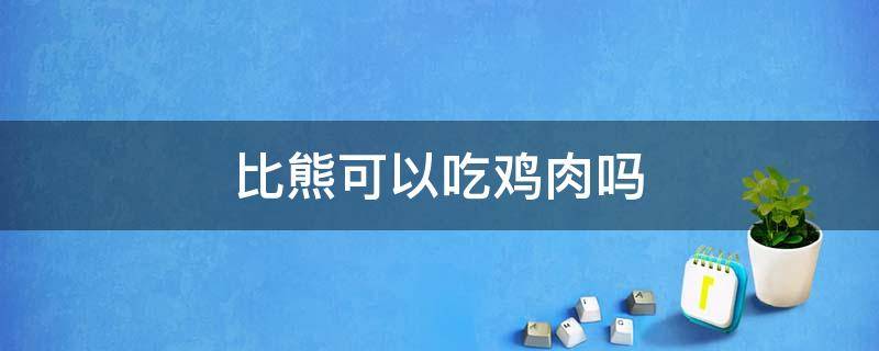 比熊可以吃鸡肉吗 比熊能吃鸡腿肉吗