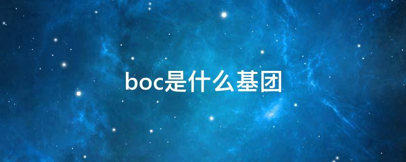 boc是什么基团 boc取代基