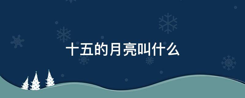 十五的月亮叫什么 十五的月亮叫什么名字