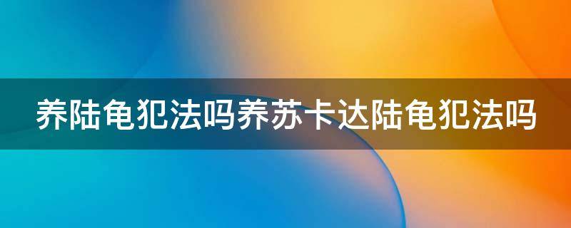 养陆龟犯法吗养苏卡达陆龟犯法吗 苏卡陆龟在哪买