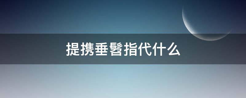 提携垂髫指代什么（提携、垂髫指代什么）