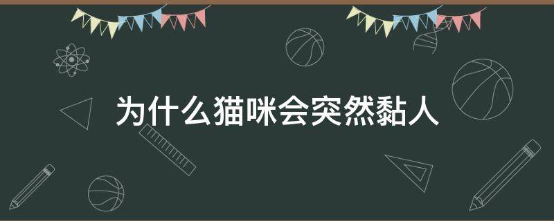 为什么猫咪会突然黏人 为什么小猫咪会突然黏人