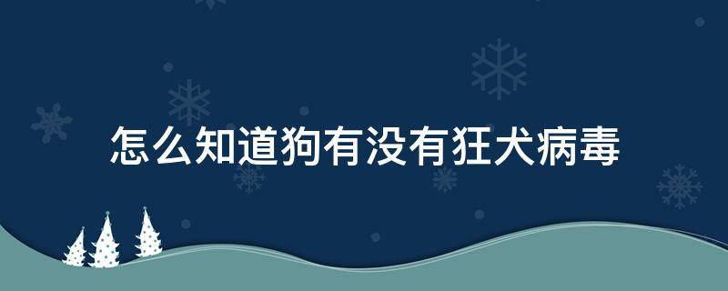 怎么知道狗有没有狂犬病毒 怎么知道狗狗有狂犬病毒