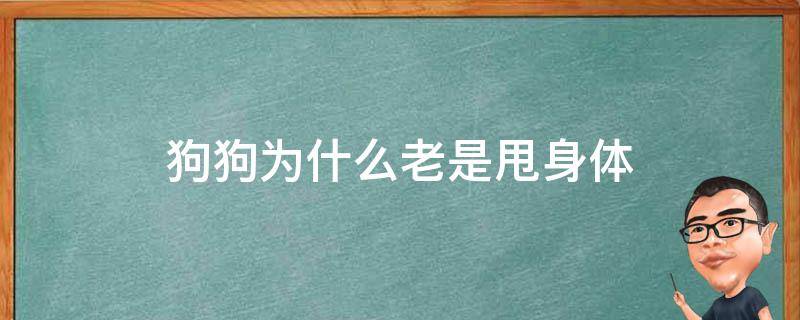 狗狗为什么老是甩身体 狗狗总是喜欢甩身体是什么原因