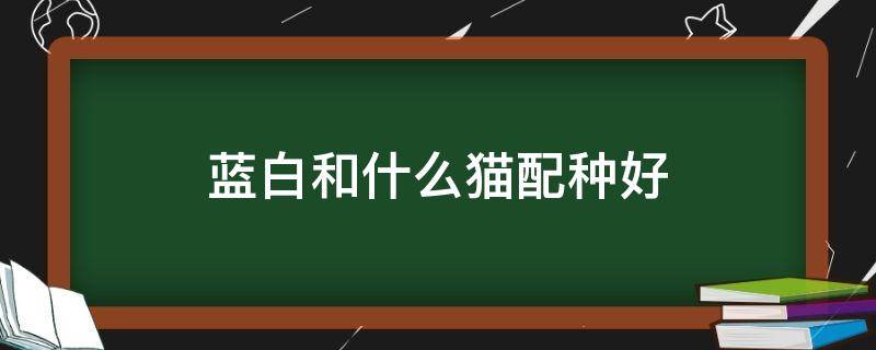 蓝白和什么猫配种好（蓝猫跟蓝白配种会配出什么?）