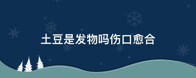 土豆是发物吗伤口愈合（土豆丝是发物吗）