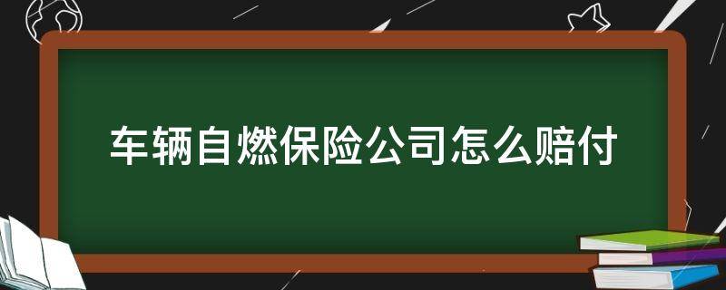 车辆自燃保险公司怎么赔付 汽车自燃保险怎么赔付