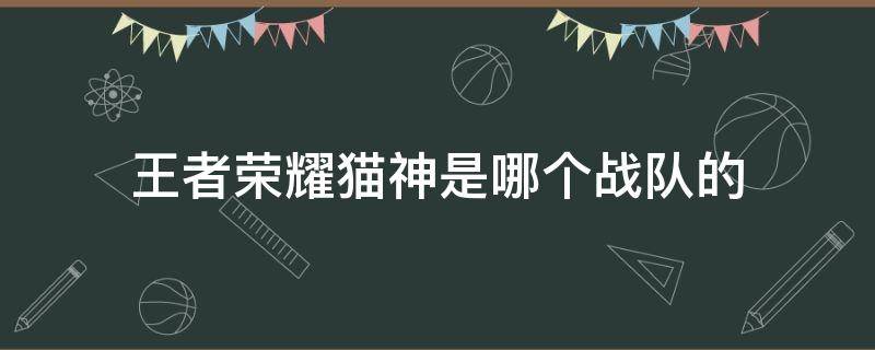 王者荣耀猫神是哪个战队的 王者荣耀老猫是哪个战队的