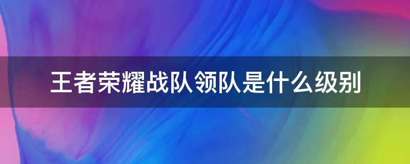 王者荣耀战队领队是什么级别 王者荣耀战队职位领队是什么