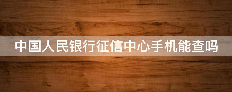 中国人民银行征信中心手机能查吗（个人征信app官方下载）