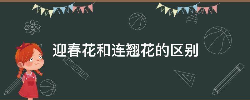 迎春花和连翘花的区别（迎春花和连翘花的区别在什么地方）