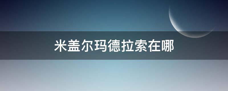 米盖尔玛德拉索在哪 米盖尔马德拉索在哪