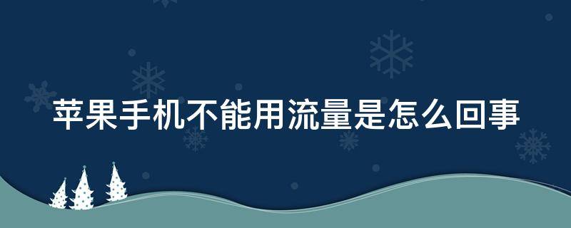 苹果手机不能用流量是怎么回事（苹果不能用流量怎么办）