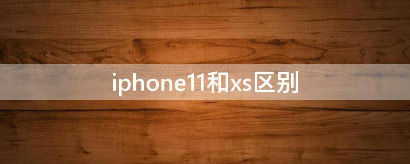 iphone11和xs区别（iphone11和xs区别知乎）