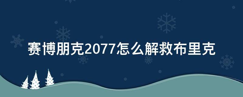 赛博朋克2077怎么解救布里克 赛博朋克2077如何救出布里克