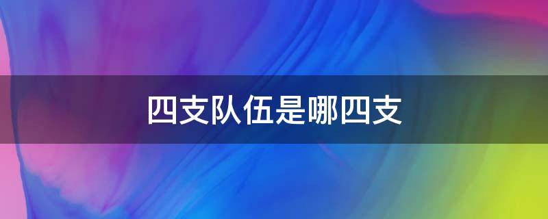 四支队伍是哪四支 什么叫四支队伍