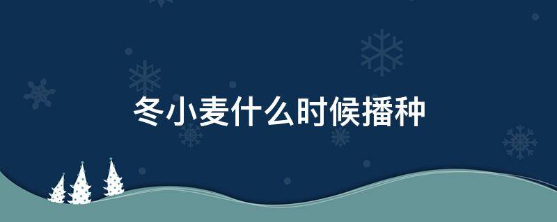 冬小麦什么时候播种 春小麦什么时候播种