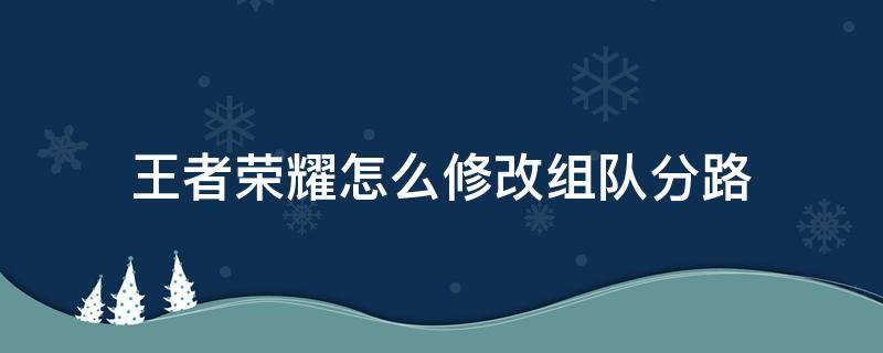 王者荣耀怎么修改组队分路（王者荣耀常用分路怎么改）