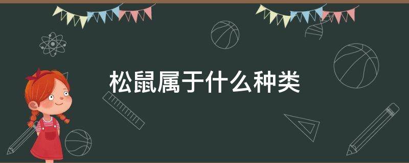 松鼠属于什么种类 松鼠属于什么种类的动物