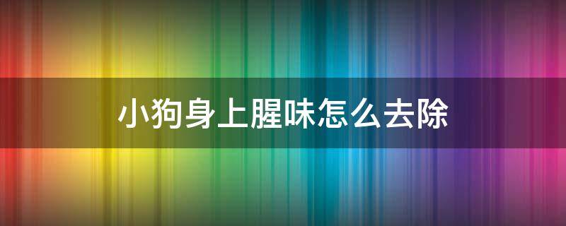 小狗身上腥味怎么去除（小狗身上的腥味怎么去除）