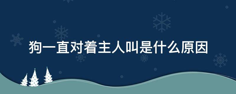 狗一直对着主人叫是什么原因 狗狗对着人叫是怎么回事啊