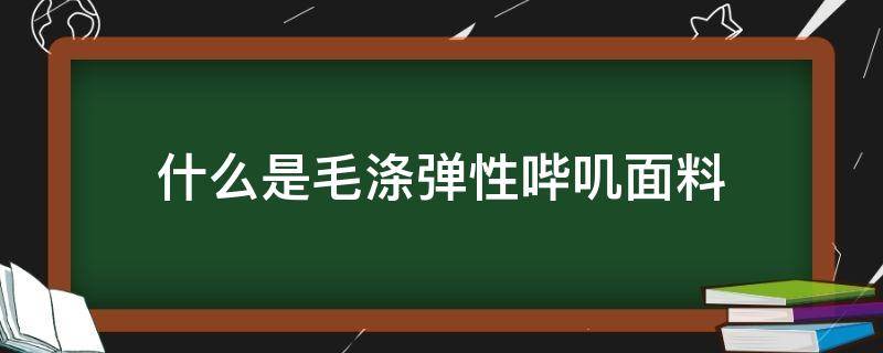 什么是毛涤弹性哔叽面料 毛纺料 毛料 哔叽料 区别