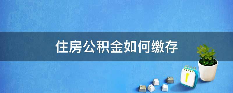 住房公积金如何缴存 住房公积金个人怎么缴存