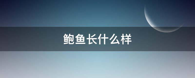 鲍鱼长什么样（没有壳的鲍鱼长什么样）