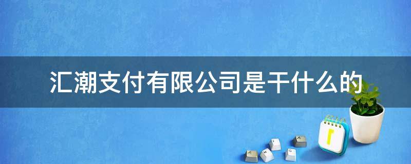 汇潮支付有限公司是干什么的（汇潮支付有限公司电话号码）