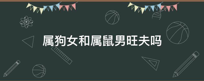 属狗女和属鼠男旺夫吗 属鼠女和属狗男好吗