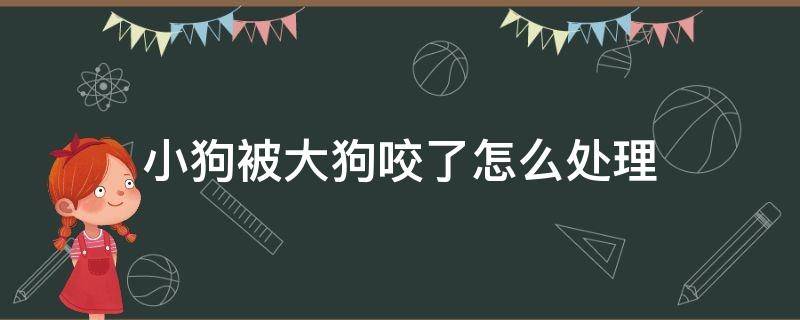 小狗被大狗咬了怎么处理 小狗被大狗咬了怎么处理会不会得狂犬病了