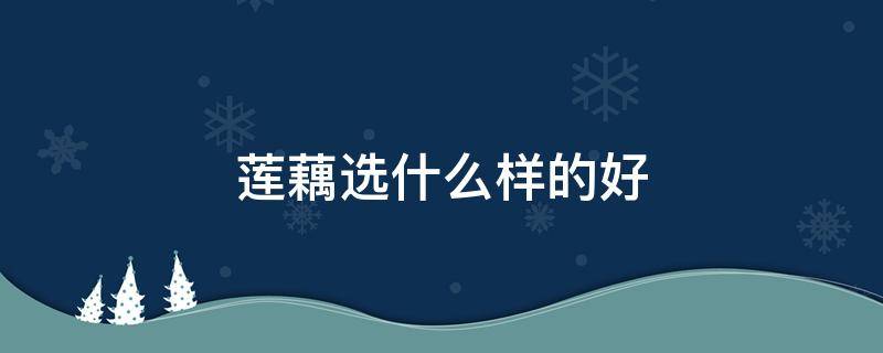 莲藕选什么样的好 怎么挑莲藕才是最好的