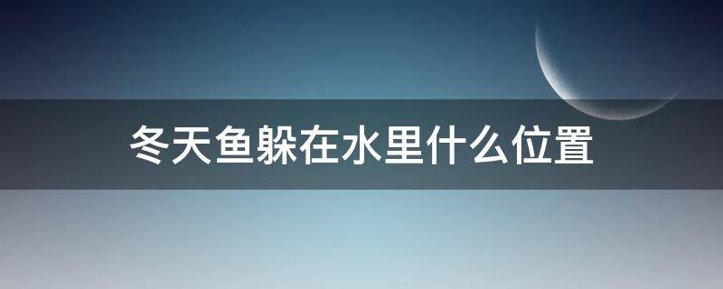 冬天鱼躲在水里什么位置 冬天鱼为什么在水下