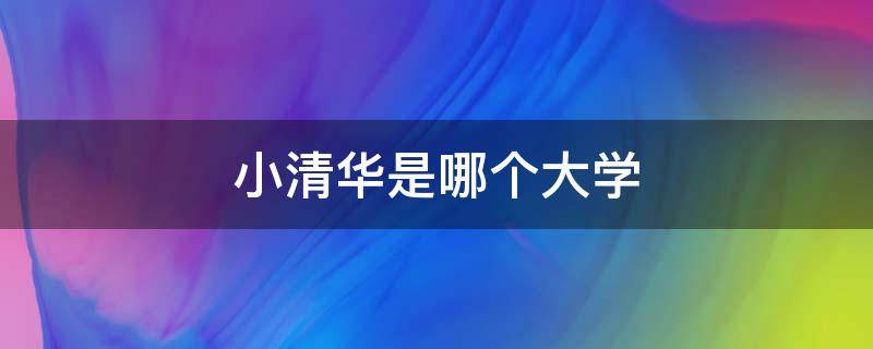 小清华是哪个大学 南方小清华是哪个大学