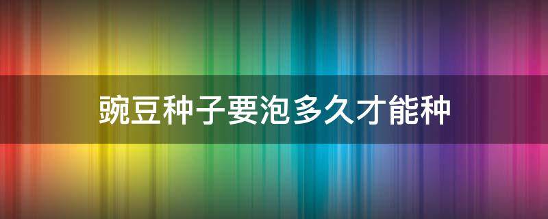 豌豆种子要泡多久才能种 豌豆种子泡多久才可以种