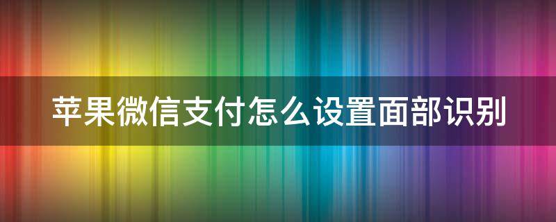 苹果微信支付怎么设置面部识别（iphone微信支付怎么设置面容）