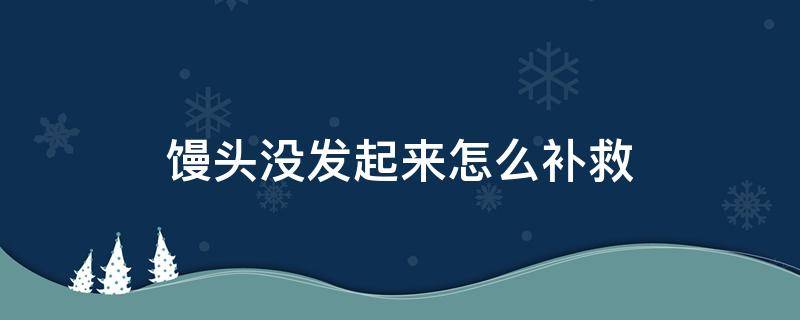 馒头没发起来怎么补救（发馒头没有发起来怎么补救）