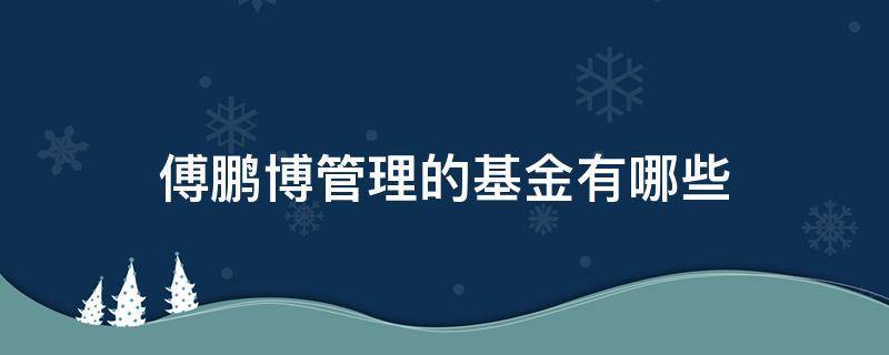 傅鹏博管理的基金有哪些 傅鹏博现在管理的基金有哪些