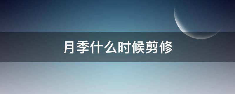 月季什么时候剪修（月季几月份可以修剪）