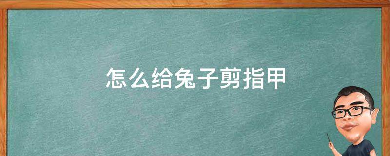 怎么给兔子剪指甲 怎么给兔子剪指甲不反抗