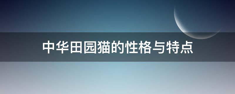 中华田园猫的性格与特点（中华田园猫哪个品种性格温顺）