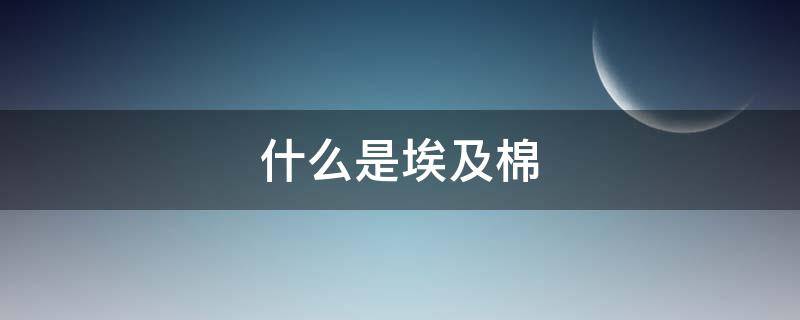 什么是埃及棉（什么是埃及棉线）