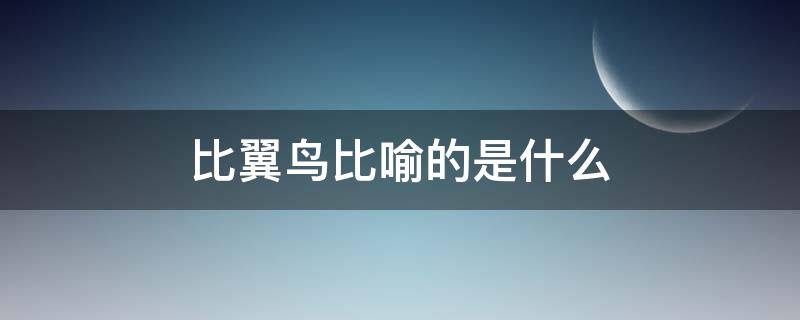 比翼鸟比喻的是什么（比翼鸟鸟比喻什么样的人）