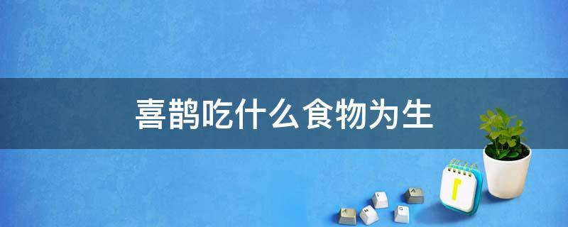 喜鹊吃什么食物为生 喜鹊吃什么食物为生,金龟子吃蚜虫吗