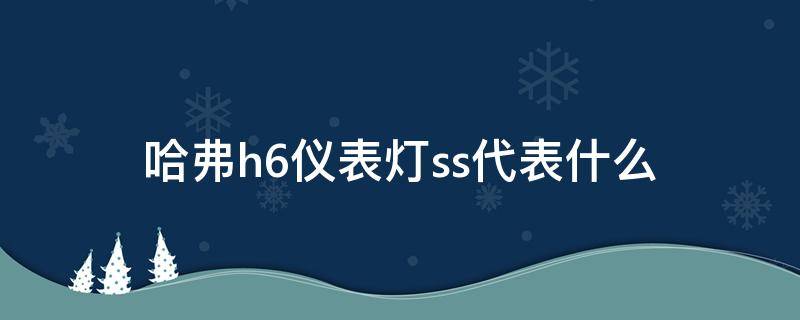 哈弗h6仪表灯ss代表什么（长城哈弗h6仪表盘ss什么意思）