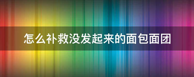 怎么补救没发起来的面包面团（做面包面团没有发起来怎么办）