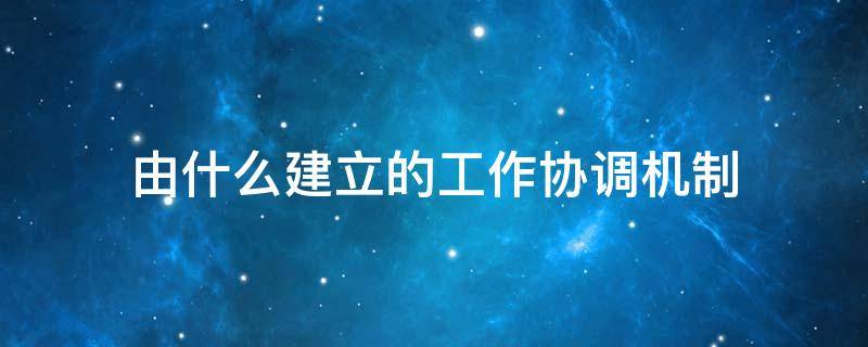 由什么建立的工作协调机制 建立协调机制该如何做